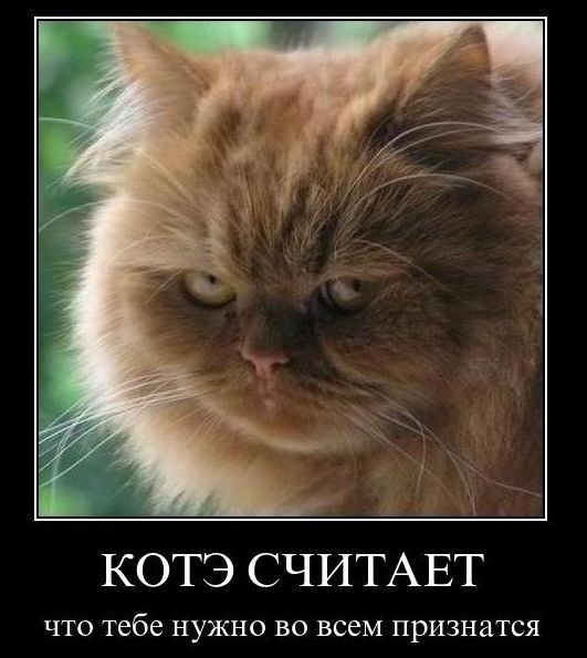 №56, Евгений Мосяков №56, Евгений Мосяков