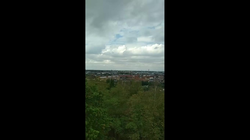 волфен