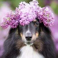 Мария Семенова