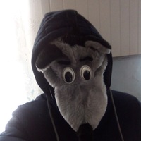 Дмитрий Котов