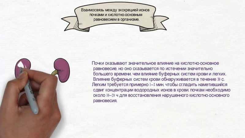 Стомат. факультет. Тема 15. Андруцкая Юлия. Группа СЛ с о 181В.
