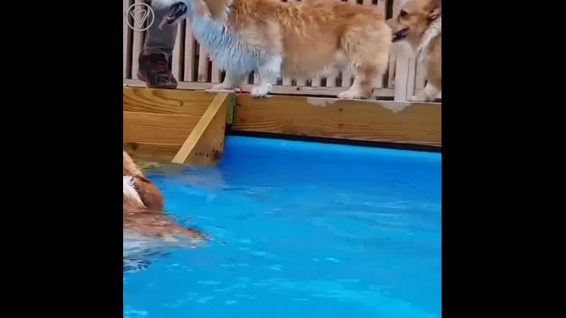 Вечеринка у