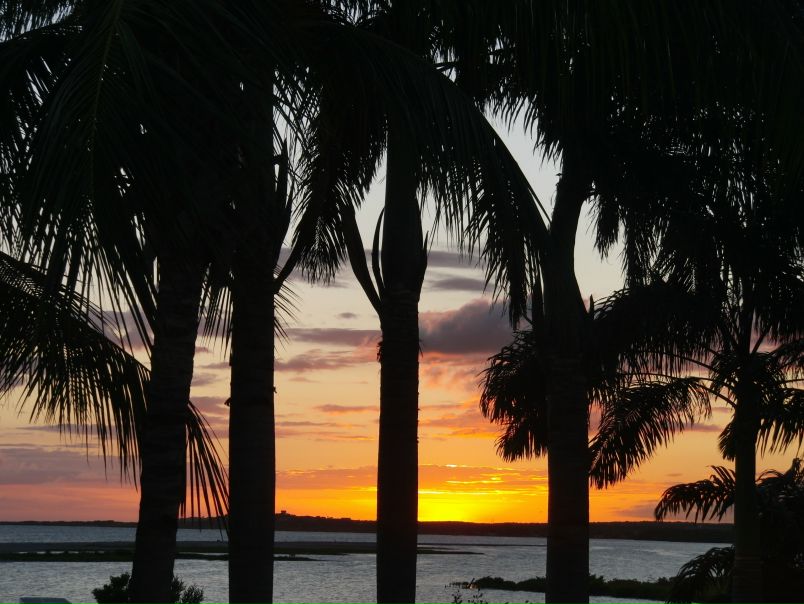 №4, Герман Гараев №4, Герман Гараев