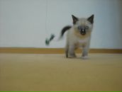 №13 Аня Фатеева 19.06.1984: профиль, фото, статус - ВКонтакте