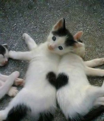 №114, Кристина Санталова, 40 лет, Москва №114, Кристина Санталова, 40 лет, Москва