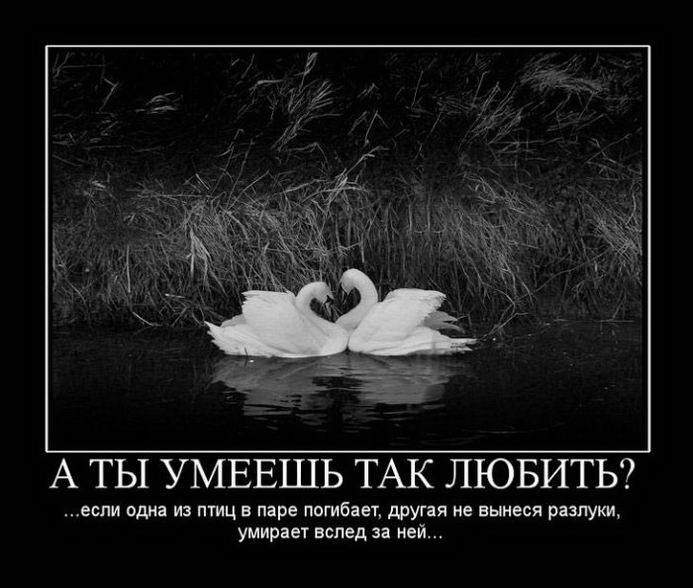 Алексей Самойлов | Самара