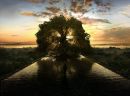 Фотография Илья Лебедев