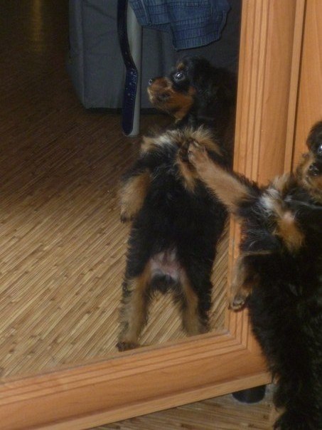 Настя Яровая | Санкт-Петербург