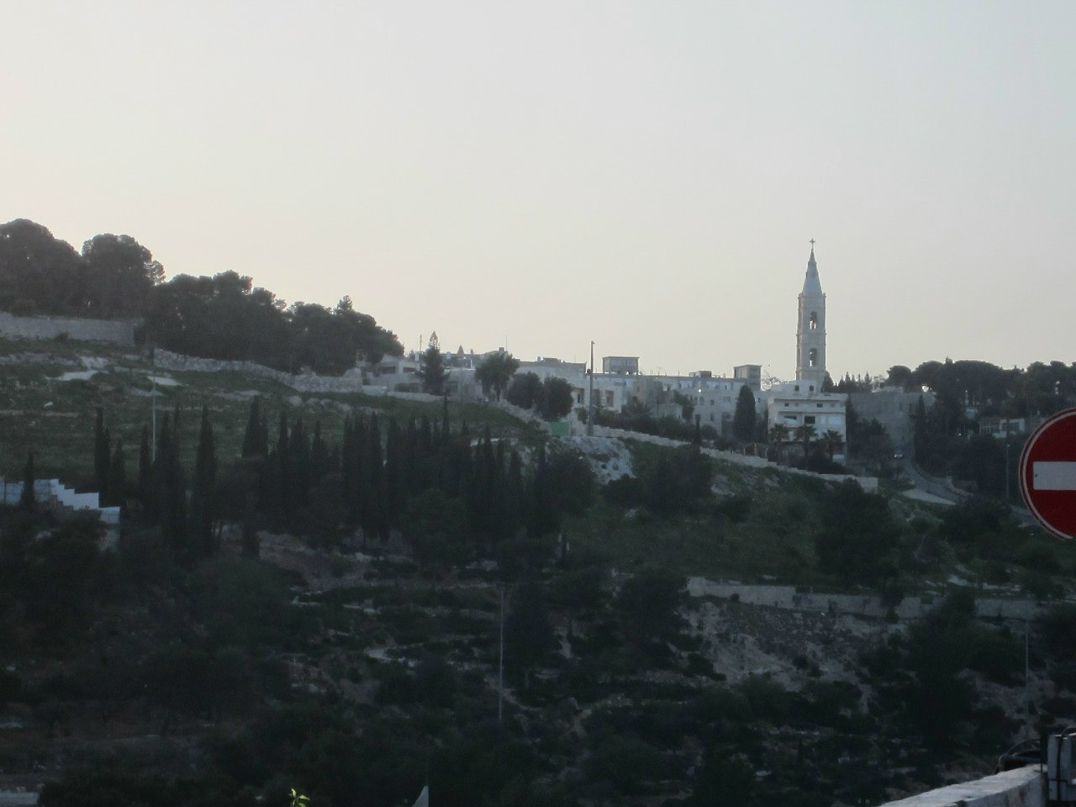 Алёна Харина | Вологда