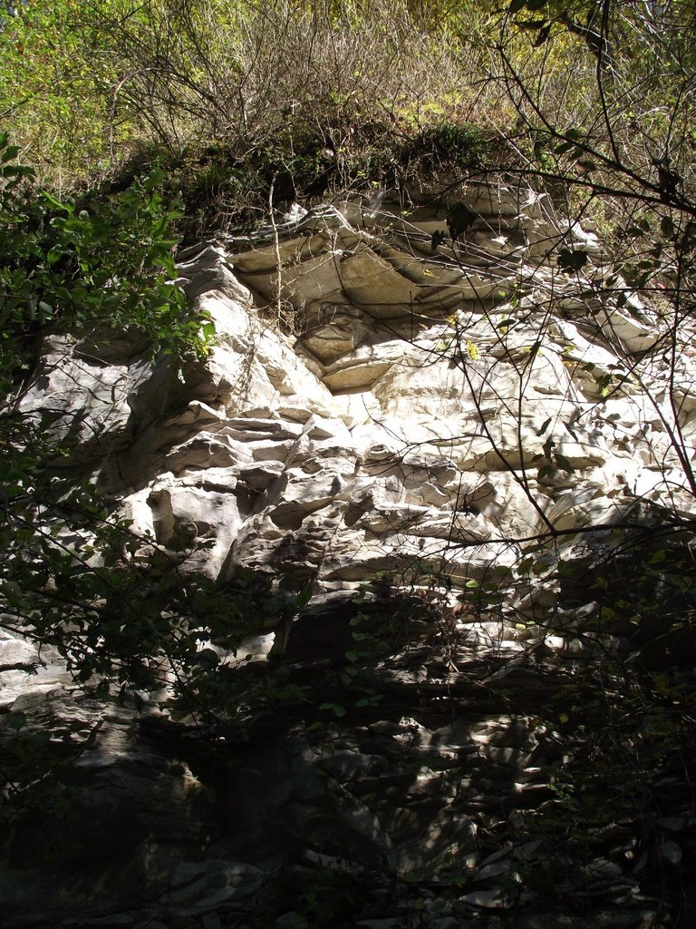 Николай Синельников | Санкт-Петербург