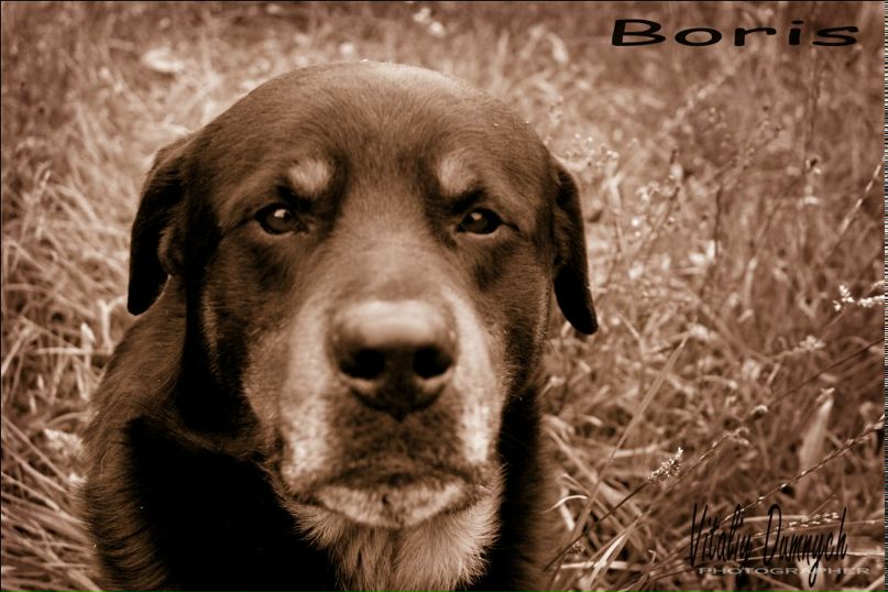 Vetal Photographer | Ужгород