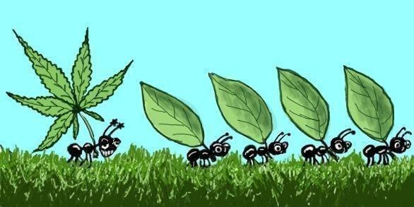 Сергей Александрович | Нижний Новгород