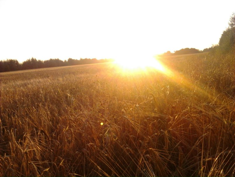 №21, Станислав Колпаков, Санкт-Петербург №21, Станислав Колпаков, Санкт-Петербург