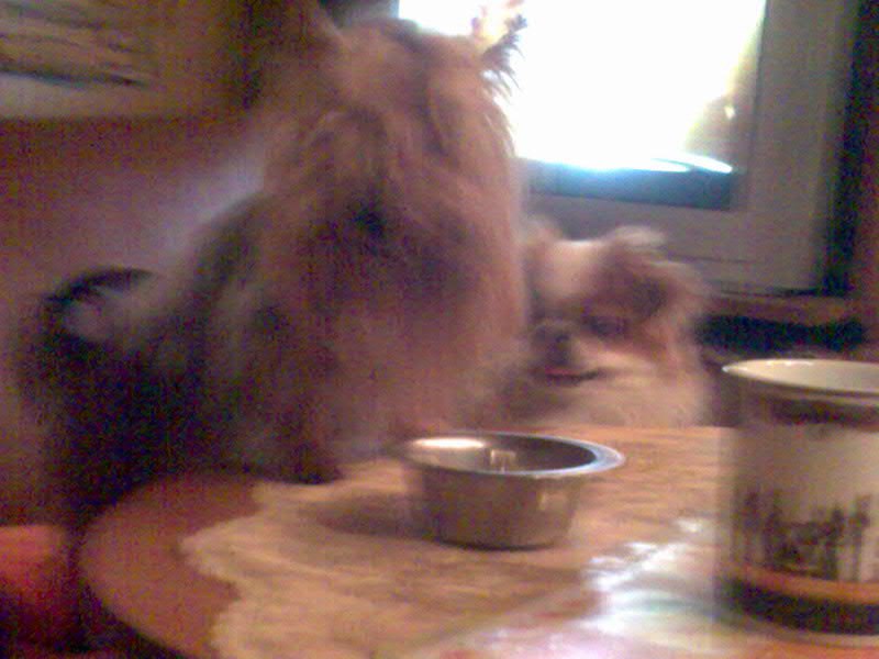 Ольга Герасимова | Санкт-Петербург