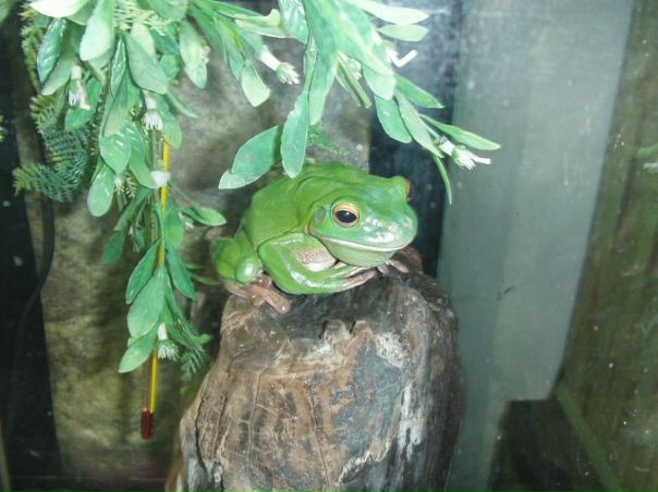 №46, Валентина Чебанюк, Киев №46, Валентина Чебанюк, Киев