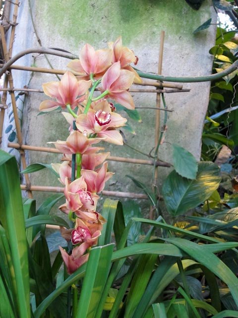 Анастасия Цветкова | Москва