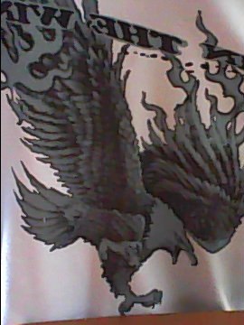 Алексей Торгашев | Los Angeles