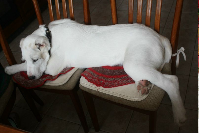 Женечка Французова ★★★ | Калуга