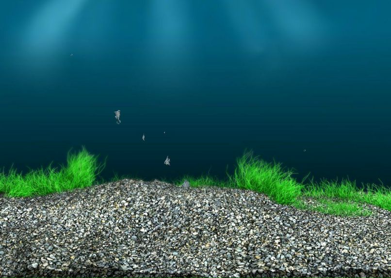 Ольга Студенко | Санкт-Петербург