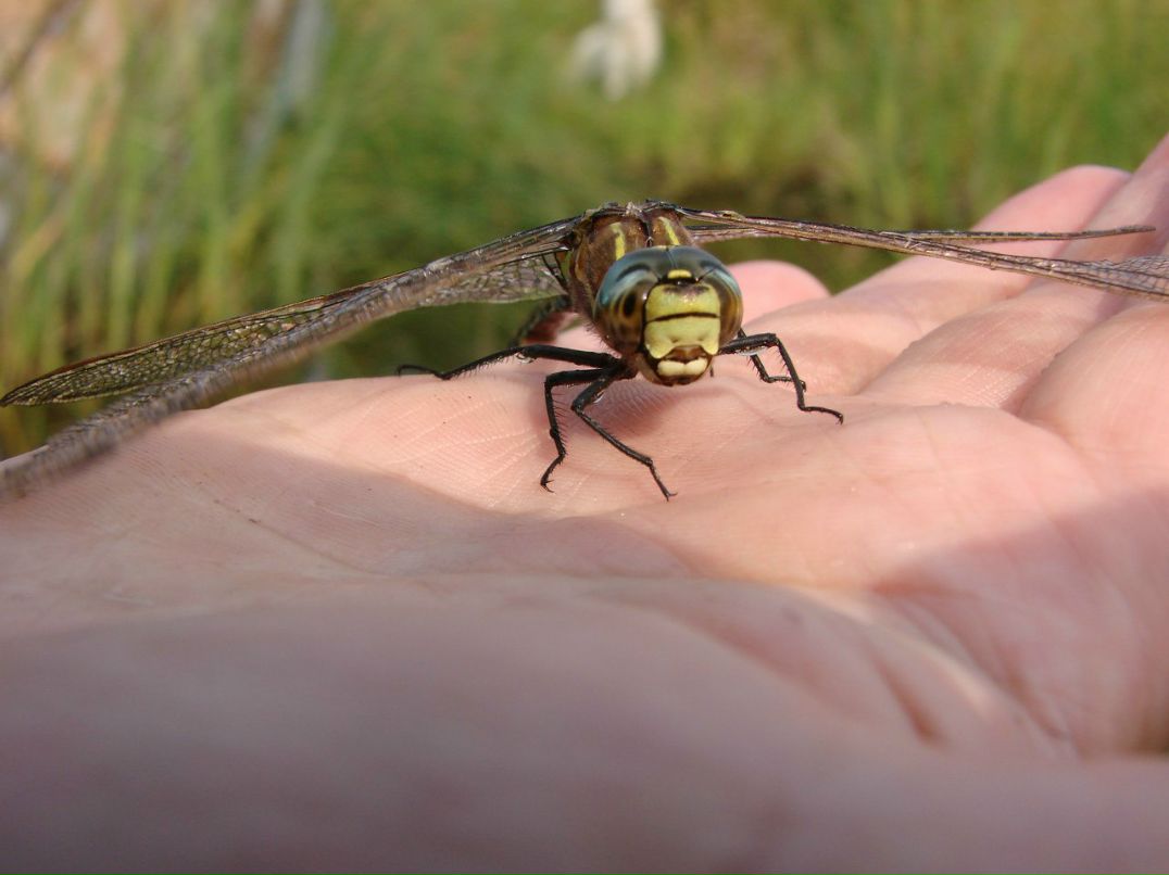Евгений Осипов | Петрозаводск