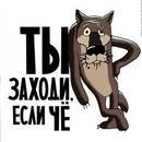 Фотография Николай Луценко