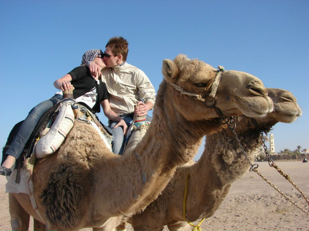 Илья Мартынов | Яхрома