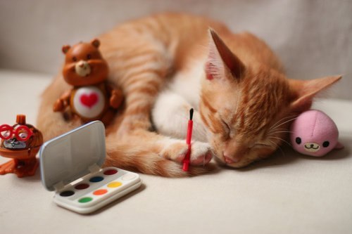 Катерина Верба | Новороссийск