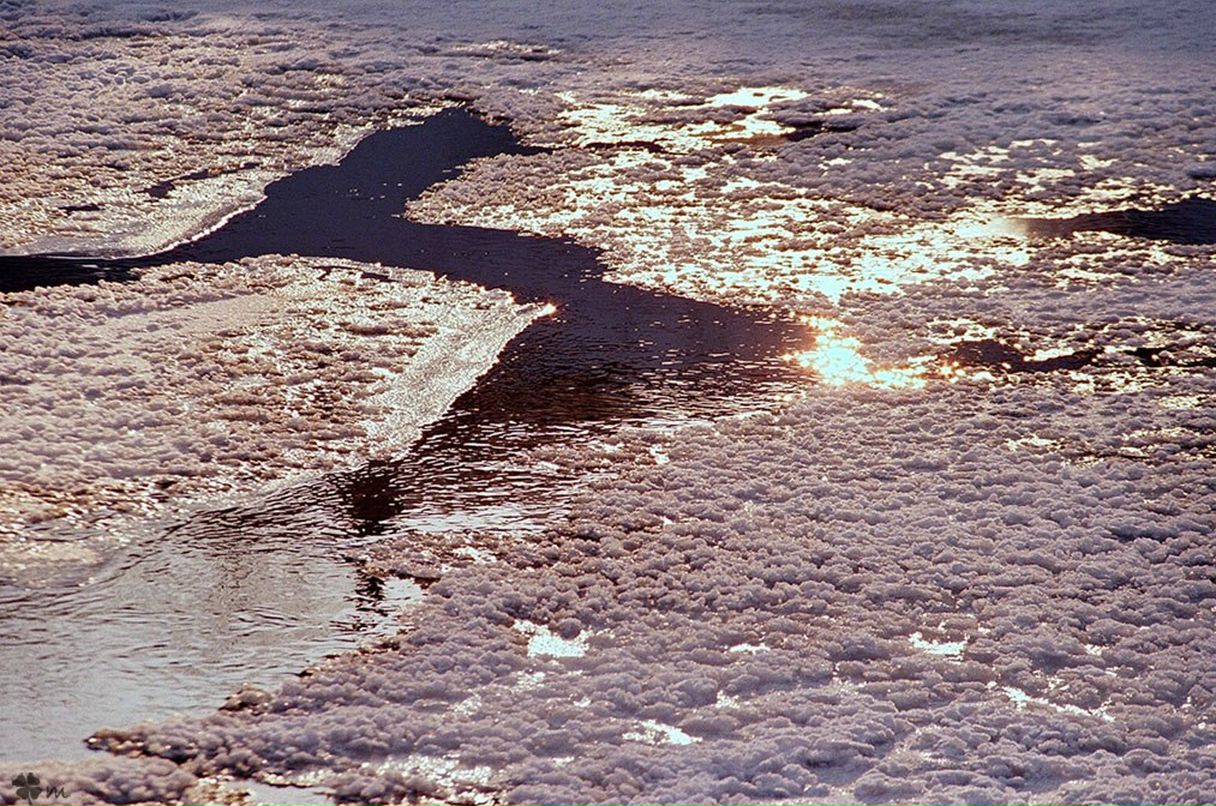 Алексей Осипов | Минск