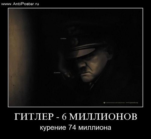 Мария Левина ツ | Ярославль