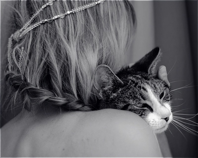 Резеда Юнысова Дависовна | Казань