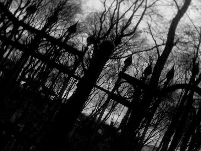 Евгений Тягунов (CASPER) | Рыбинск