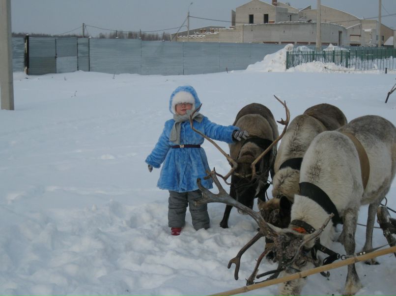 Людмила Кривова | Ярославль