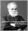 Фотография Ярослав Богоявленский
