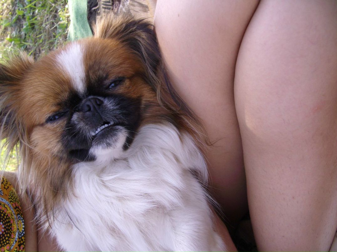 Анжеличка Абрамян | Санкт-Петербург