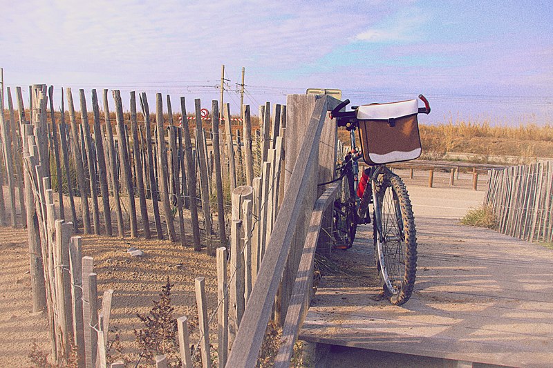 Feya Zzz | Cap-d'Ail