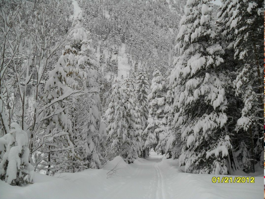 Инна Фунова | Санкт-Петербург
