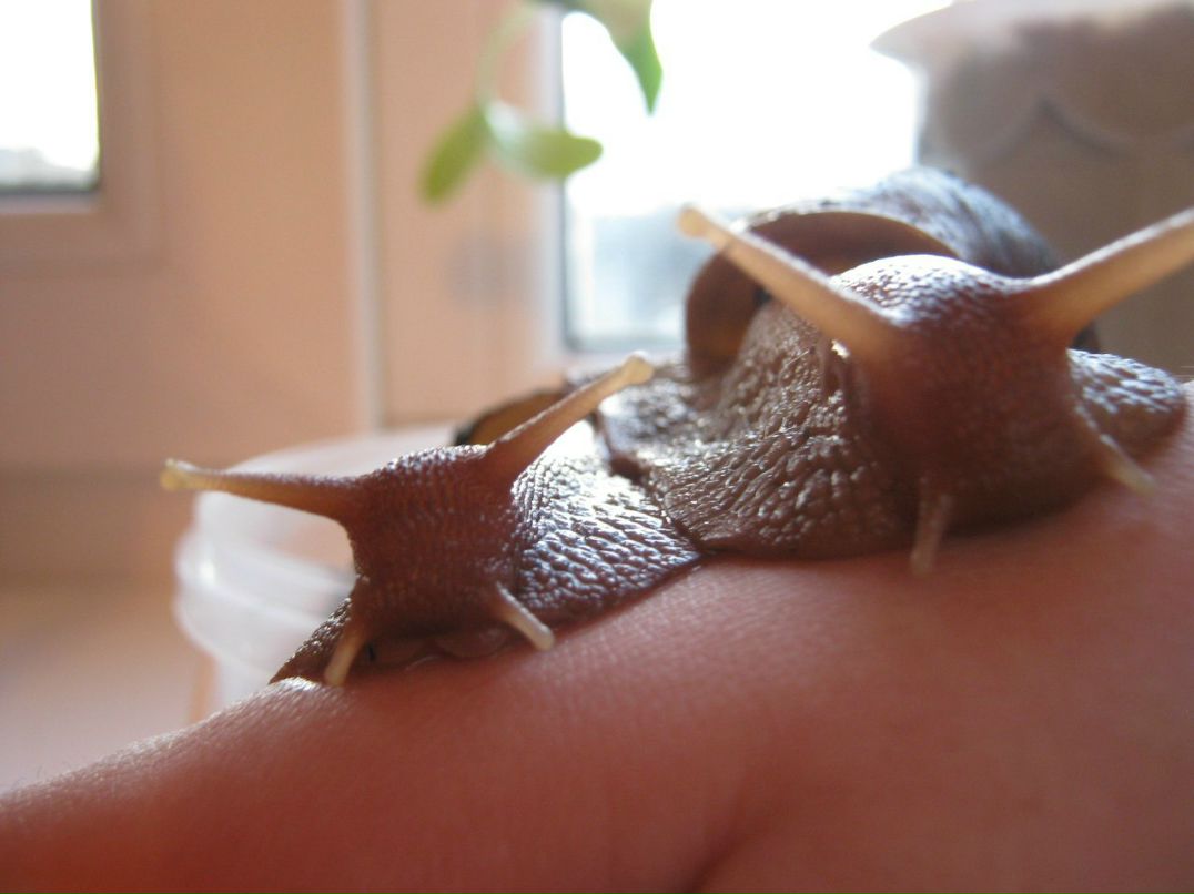 Наталья Загуляева | 