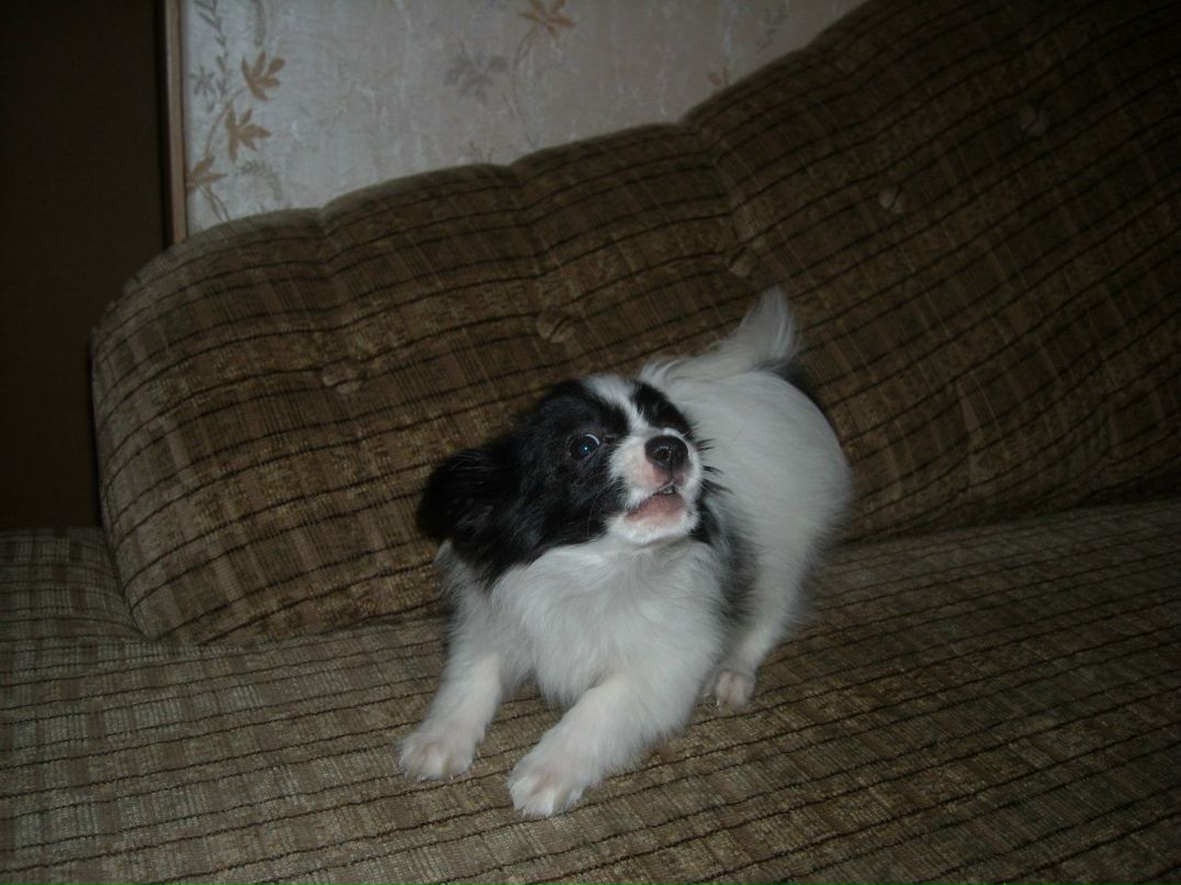 Маша Берсенева | Москва