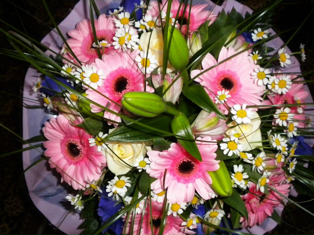 Наталья Сорокина Николаевна | Коммунар