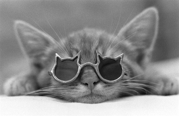 Татьяна Яковенко ♥♥♥ Ocharovashka ♥♥♥ | 