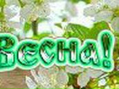 Tanechka Chelpannikova ●•ஜ••٠ | Санкт-Петербург