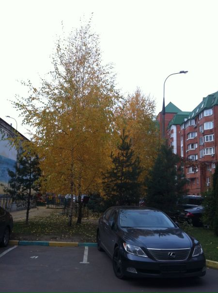 №104, Михаил Разживин, Москва №104, Михаил Разживин, Москва