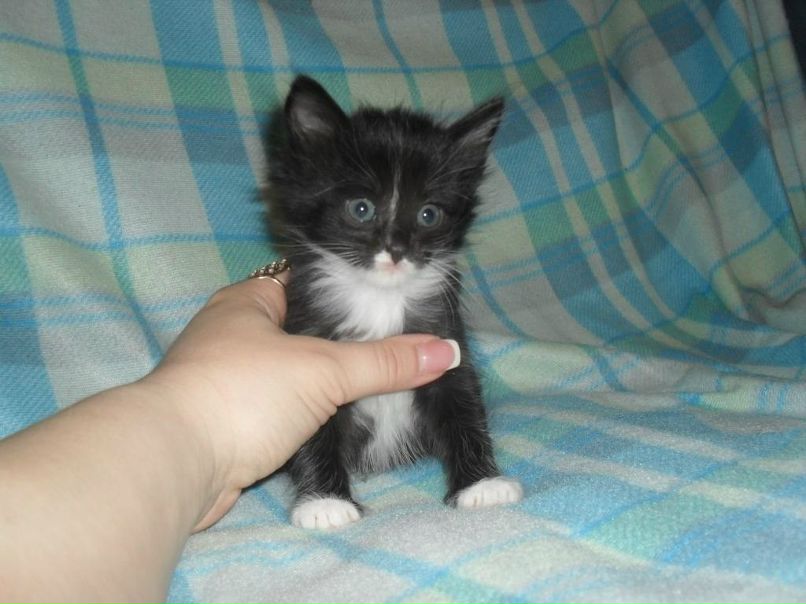 Алинка Осипова *Кукла* | Казань