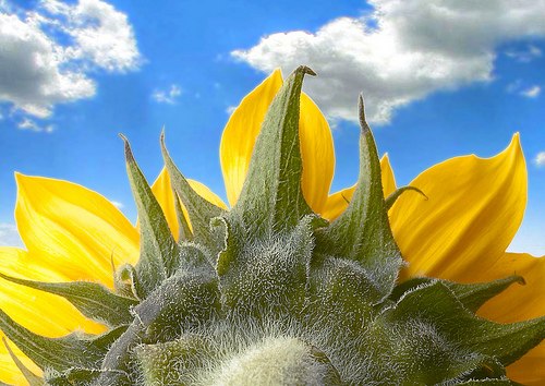 Tatiana Chernysheva | Москва