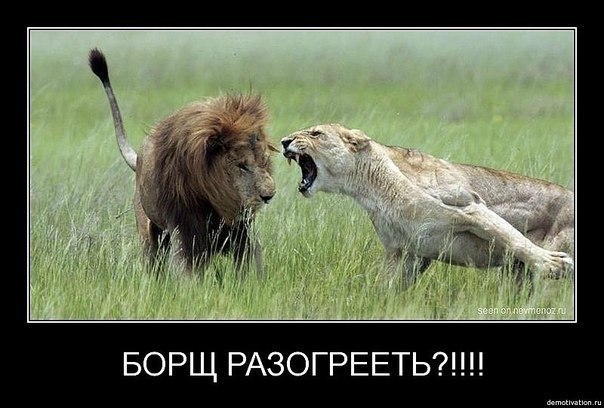 Любовь Макаренко | Санкт-Петербург