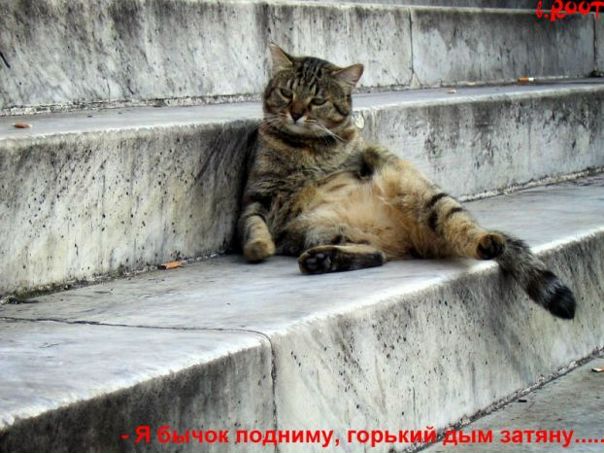 №4, Юра Клим, 13.05, Тернополь №4, Юра Клим, 13.05, Тернополь
