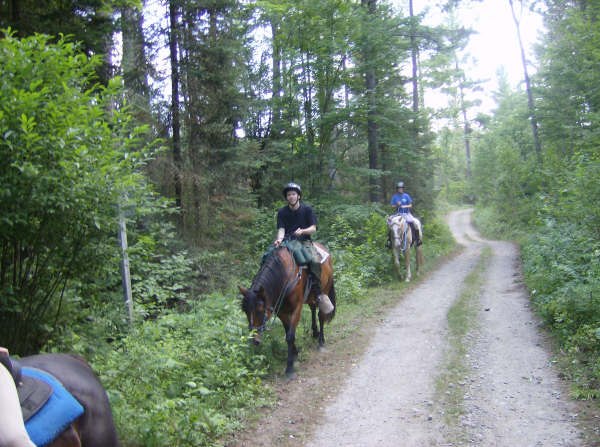 Сергей Сидоренко | Toronto