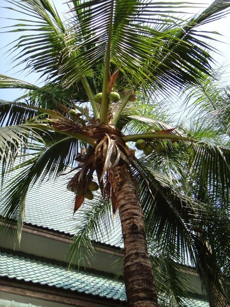 Kseniya Kamishnikova ♥ | Москва