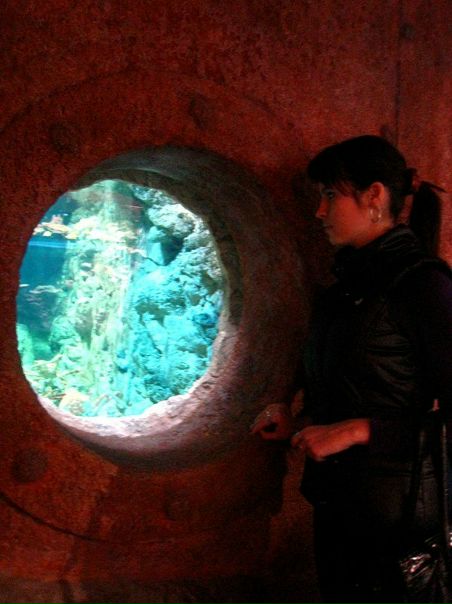 №87, Александра, Санкт-Петербург №87, Александра, Санкт-Петербург