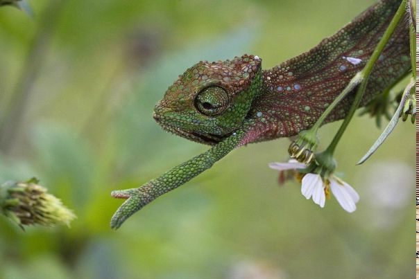 №109, Владимир Гусев, Санкт-Петербург №109, Владимир Гусев, Санкт-Петербург